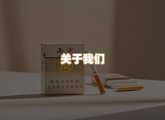 关于蓝帝网